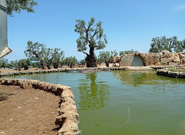 italy/apulia/attraction/zoosafari-fasanolandia