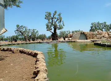 Zoosafari Fasanolandia