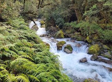 new-zealand/milford-sound/attraction/lake-marian-track