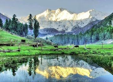 pakistan/hunza-valley/attraction/fairy-meadows