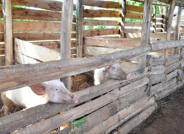 uganda/queen-elizabeth-national-park/attraction/igara-agro-tourism-centre