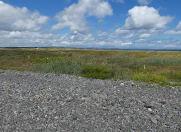 Louth Nature Trust (Little Tern Conservancy)