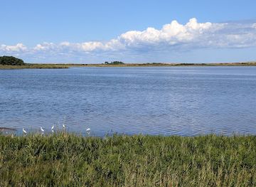 delaware/delaware-seashore-state-park/attraction/gordon-pond-wildlife-area