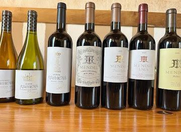 argentina/mendoza/attraction/mendel-wines