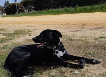 australia/ningaloo-reef/attraction/bellarine-rail-trail