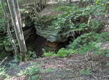 ohio/punderson-state-park/attraction/welton-s-gorge-preserve