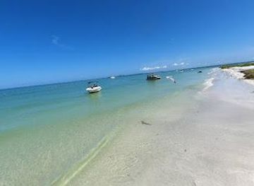 florida/sarasota/attraction/passage-key-national-wildlife-refuge