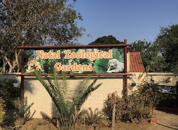 south-africa/kwazulu-natal/attraction/natal-zoological-gardens