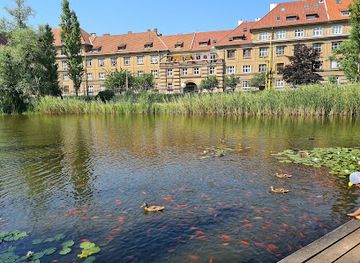 slovakia/zemplin/attraction/jazierko-v-mestskom-parku