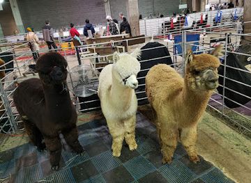 kansas/kansas-city/attraction/american-royal-museum