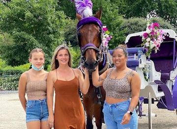 connecticut/stamford/attraction/nyc-central-park-horse-carriage-rides-since-1858