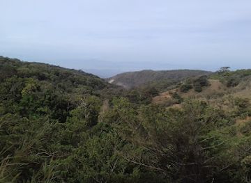 costa-rica/monteverde/attraction/nasua-tours-monteverde