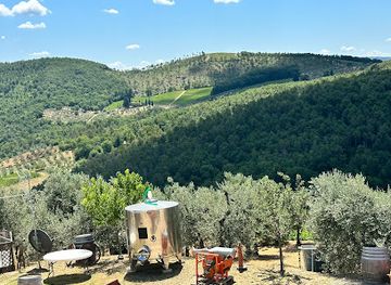 italy/chianti-classico/attraction/altiero-azienda-agricola