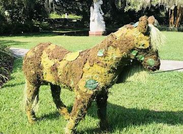 south-carolina/myrtle-beach/attraction/brookgreen-gardens