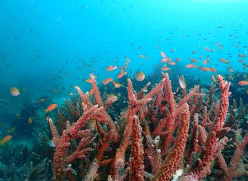 maldives/thoddoo/attraction/rasdhoo-beyru