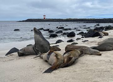 ecuador/galapagos-islands/attraction/point-carola-beach