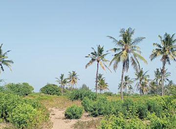 kenya/malindi/attraction/athi-river-estuary