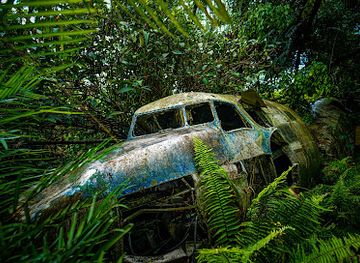 australia/cairns/palm-cove/attraction/kuranda-koala-gardens