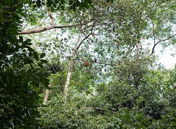 seychelles/bird-island/attraction/casse-dent-trail