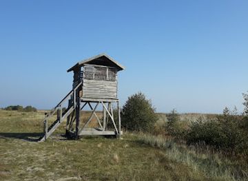 lithuania/curonian-spit-national-park/attraction/bird-watching-tower