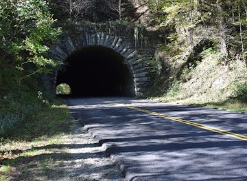 north-carolina/blue-ridge-mountains/attraction/little-switzerland-tunnel