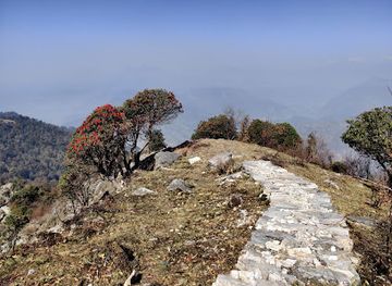 india/valley-of-flowers-national-park/attraction/jhandi-top