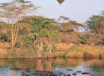 Serengeti Balloon Safaris Office