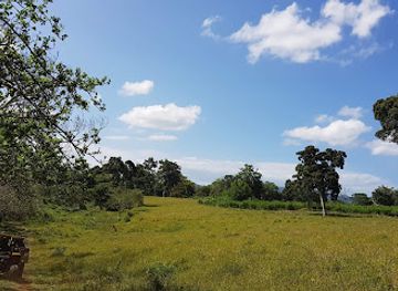 vanuatu/efate/attraction/buggy-fun-vanuatu