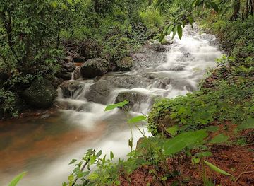 india/goa/attraction/karmale-waterfalls