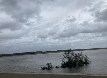 virginia/assateague-island/attraction/sand-sculptures
