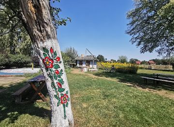 poland/kurpie/attraction/dom-malarek-w-zalipiu