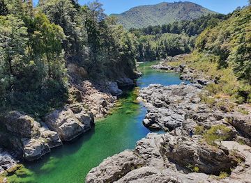 Pelorus Bridge Scenic Reserve