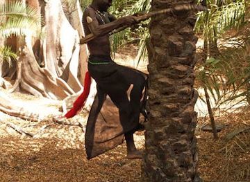 senegal/cap-skirring/attraction/musee-kadioute