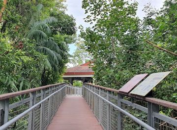 singapore/labrador-nature-reserve/attraction/sentosa-nature-discovery