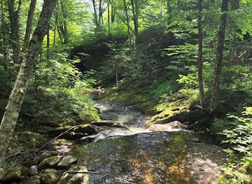 vermont/stowe-mountain-resort/attraction/sterling-gorge-falls-parking-trailhead