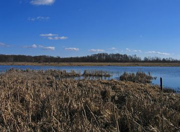 poland/zegrze-reservoir/attraction/rezerwat-wieliszewskie-legi