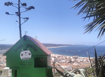 portugal/nazare/attraction/cat-hangout-spot