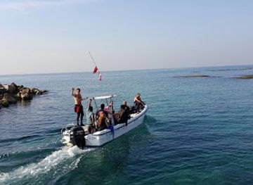 lebanon/batroun-coast/attraction/dive-the-med-club