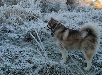 united-kingdom/renfrewshire/attraction/jenny-s-well-nature-reserve