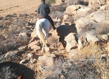 south-africa/namaqualand/attraction/namaqua-horse-trails