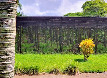 mauritius/savanne/attraction/domaine-de-saint-aubin-le-saint-aubin-restaurant
