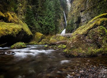 oregon/cascade-mountains/attraction/wahclella-falls
