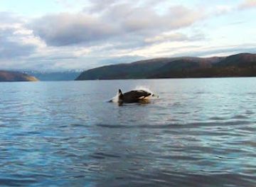 norway/trondelag/attraction/trondheimsleia