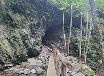 tennessee/great-smoky-mountains-national-park/attraction/arch-rock