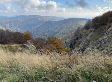 france/vosges-mountains/attraction/parc-aventure-dans-les-arbres-acropark-au-ballon-d-alsace-vosges