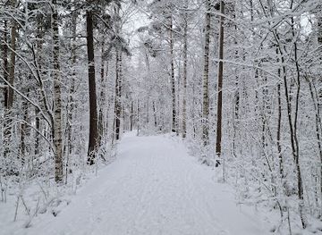 finland/lake-saimaa/attraction/lappeenrannan-pappilanniemi