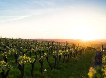 new-mexico/carlsbad/attraction/maurice-car-rie-vineyard