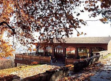 georgia/telavi/attraction/giant-plane-tree