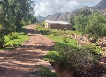 bolivia/potosi/attraction/sorojchi-potosi