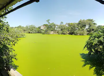 Penangkaran Buaya Asam Kumbang